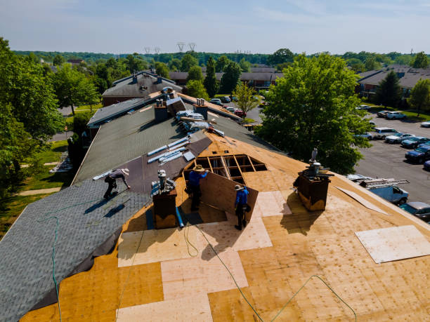 Trusted Storm Damage Roof Repair service in Camp Lejeune, NC - Brentwood Metal Roofing